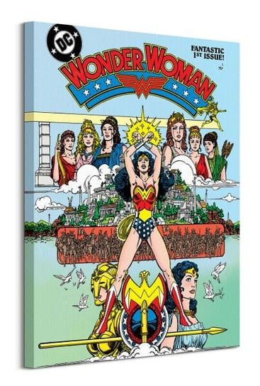 Wonder Woman Fantastic  - obraz na płótnie DC COMICS