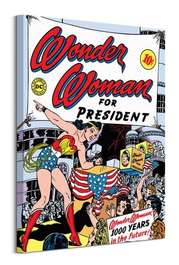 Wonder Woman For President  - obraz na płótnie DC COMICS