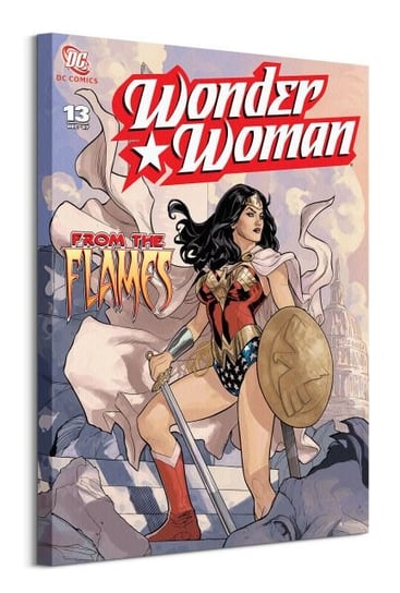 Wonder Woman From The Flames  - obraz na płótnie DC COMICS