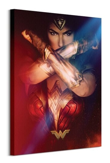 Wonder Woman Power  - obraz na płótnie DC COMICS