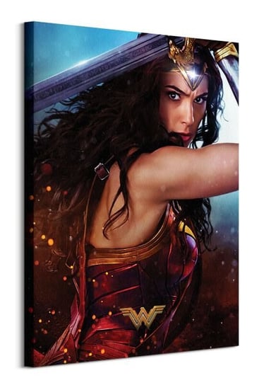 Wonder Woman Wonder - obraz na płótnie DC COMICS