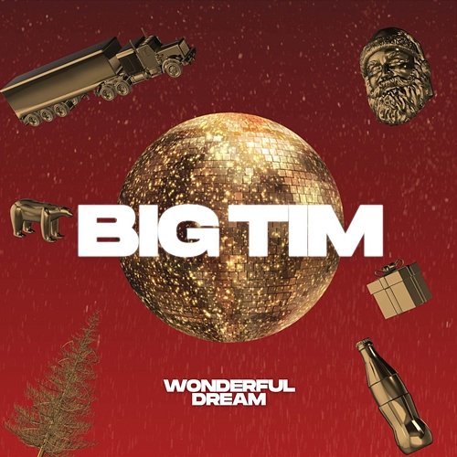 Wonderful Dream Big Tim