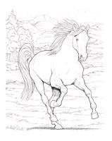 Wonderful World of Horses Coloring Book John Green