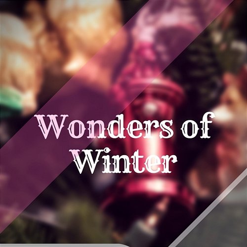 Wonders of Winter Dr Rahul vaghela