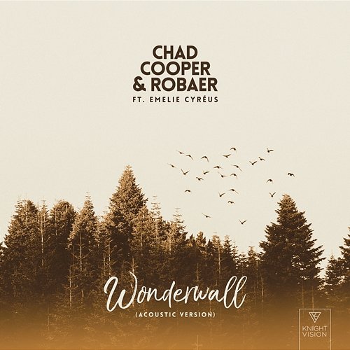 Wonderwall Chad Cooper, Robaer feat. Emelie Cyréus