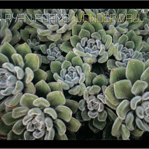Wonderwall Ryan Adams