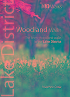 Woodland Walks Crow Vivienne