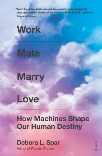 Work Mate Marry Love: How Machines Shape Our Human Destiny Spar Debora L.