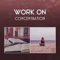 Work On Concentration – Focus On Learning, Study Habits, Find Inner Motivation and Increace Your Brain Power, Creating a Good Behavior, Training Your Memory Effective Study Masters