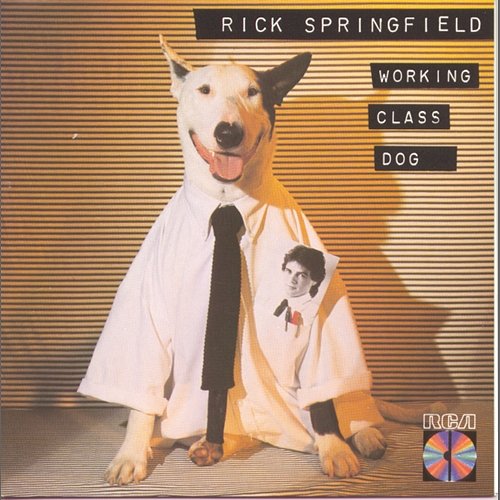Working Class Dog Rick Springfield