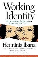 Working Identity Ibarra Herminia