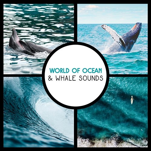 World of Ocean & Whale Sounds: Feeling of Tranquility, Stress Relief, Calm Mind, Comforting Yourself, Deep Concentration Soothing Ocean Waves Universe
