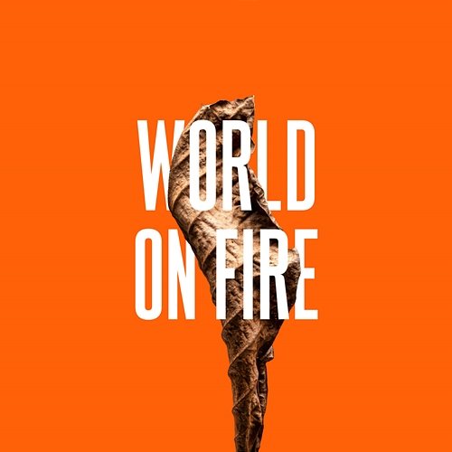 World on Fire From Kid