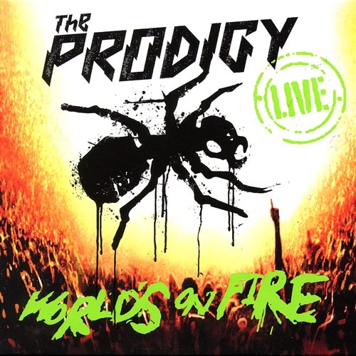 Out Of Spaces The Prodigy