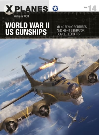 World War II US Gunships: YB-40 Flying Fortress and XB-41 Liberator Bomber Escorts William Wolf