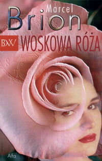 Woskowa róża Brion Marcel