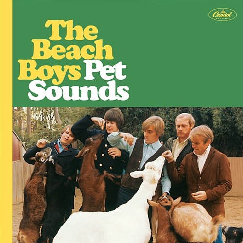 Wouldn’t It Be Nice The Beach Boys