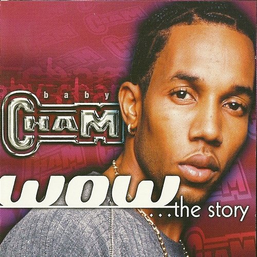 WOW...The Story Baby Cham