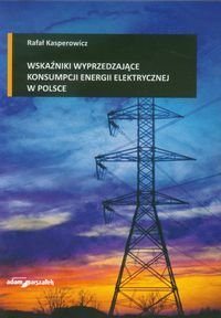 Wskaźniki wyprzedzające konsumpcji energii elektrycznej w Polsce Kasperowicz Rafał