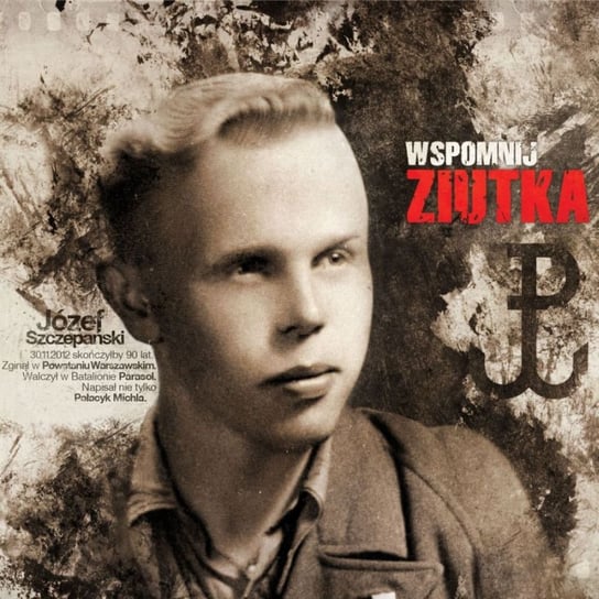 Wspomnij Ziutka Various Artists