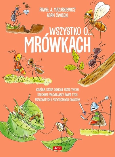 Wszystko o… mrówkach Mazurkiewicz Paweł