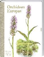 Wunderschöne Orchideen Europas Pedersen Henrik