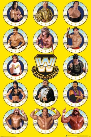 WWE Legends Chrome - plakat 61x91,5 cm WWE