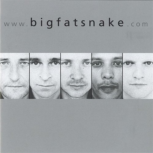 www.bigfatsnake.com Big Fat Snake
