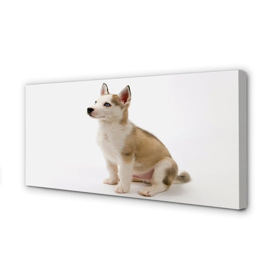 Wydruk na płótnie dekor Siedzący mały pies, 100x50 cm cm Tulup