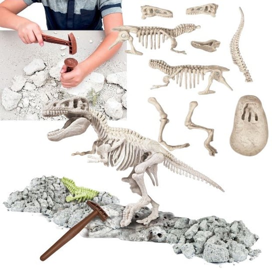 Wykopaliska Eksperymenty Dla Dzieci Dinozaur W Gipsie Zabawki Kreatywne Clementoni
