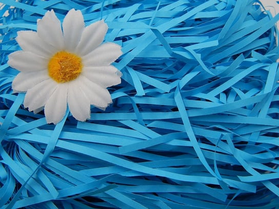 Wypełniacz Dekoracyjny Proste Paski 100G Niebieski Siima