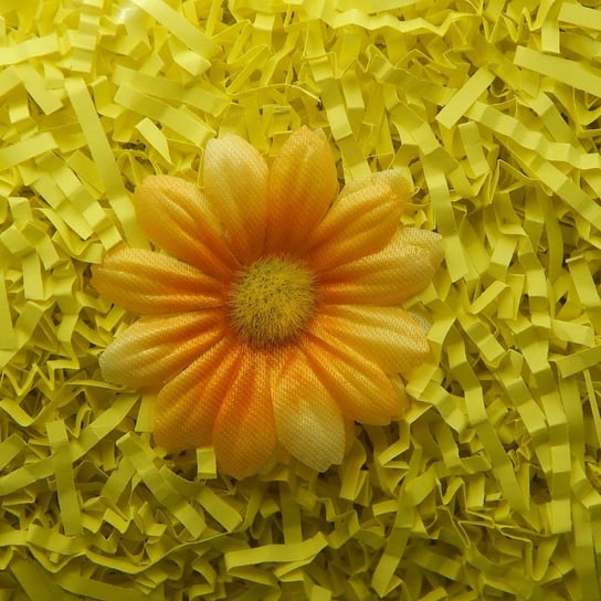 Wypełniacz Natural Dekoracyjny 1Kg Słoneczny Żółty Siima