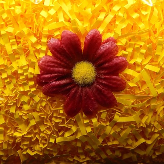 Wypełniacz Naturalny Dekoracyjny 100g Ciemno Żółty Siima