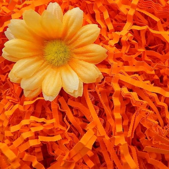 Wypełniacz Naturalny Dekoracyjny Ciemny Pomarańcz Siima