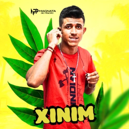 Xinim Magnata do Piseiro