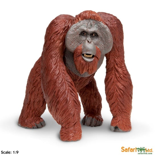 XL Safari Ltd 112289 Orangutan  skala 1:9  10,5x10x12,5cm Safari