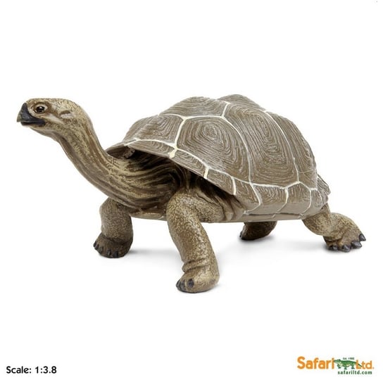 XL Safari Ltd 260729 Żółw z Galapagos  22,5 x 11,5cm Safari