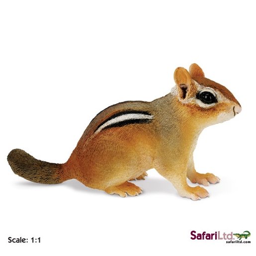 XL Safari Ltd 263029 Młoda wiewiórka trójkolorowa 18x7,5x9cm Safari
