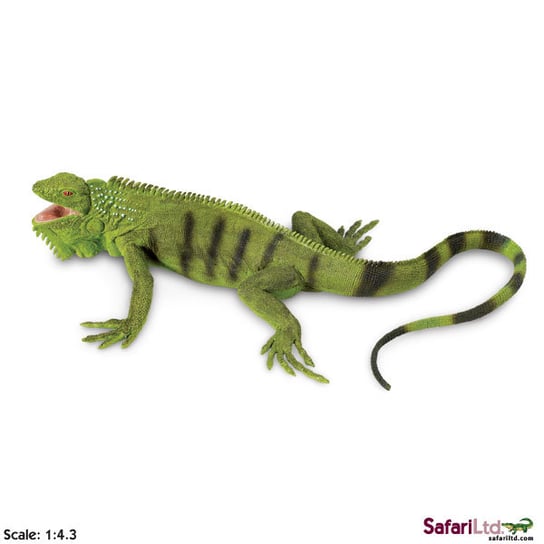 XL Safari Ltd 267729 Legwan zielony 28x14cm  skala 1:4,3 Safari