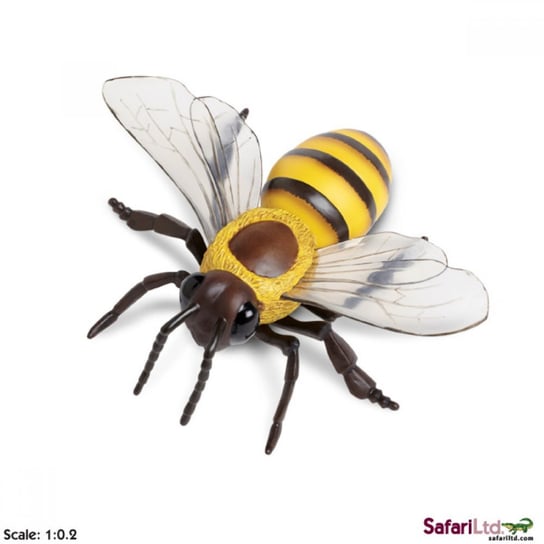 XL Safari Ltd 268229 Pszczoła miodna  14x17,5x5cm Safari