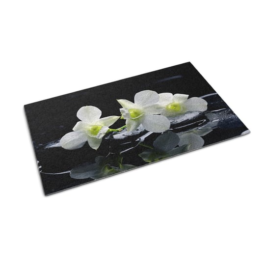 XXL Wycieraczka ze wzorem - 150x100 cm - Kwiaty Storczyki Tulup
