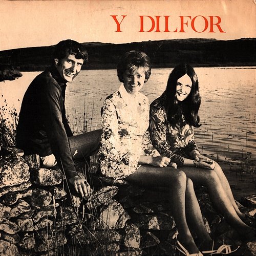 Y Dilfor Y Dilfor