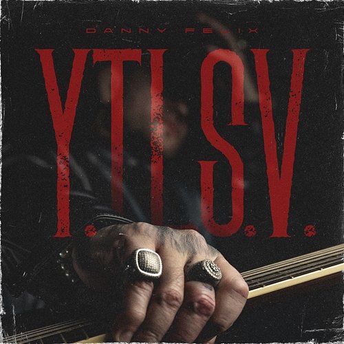 Y.T.L.S.V. Danny Felix