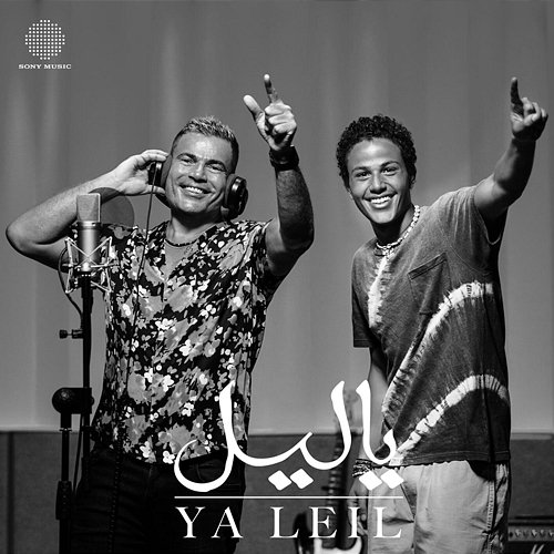 Ya Leil Amr Diab
