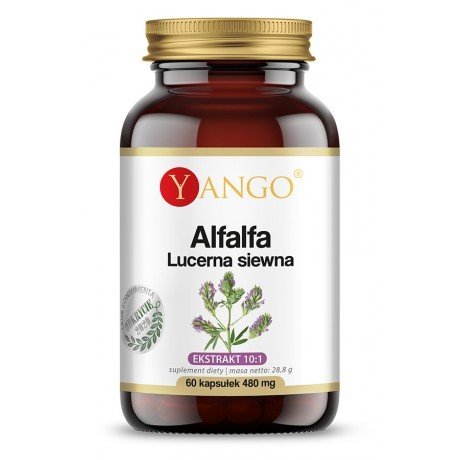 Yango Alfalfa lucerna siewna 480 mg Suplement diety, 60 kaps. Yango
