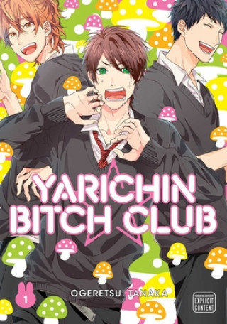 Yarichin Bitch Club. Volume 1 Tanaka Ogeretsu