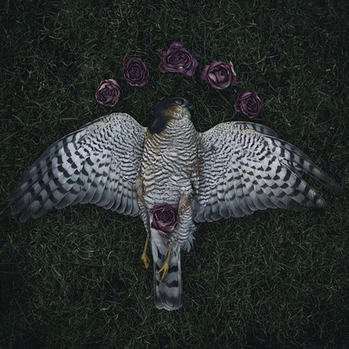 Ydintalvi - EP Tommishock