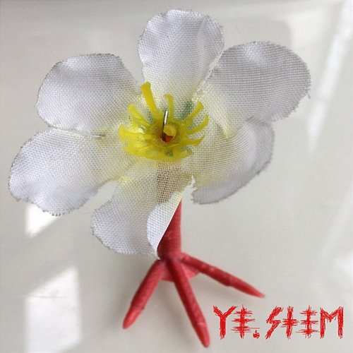 Ye.stem Ye.stem