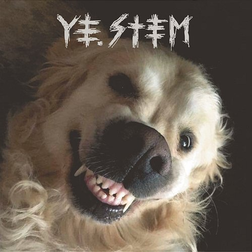 Ye.stem Ye.stem