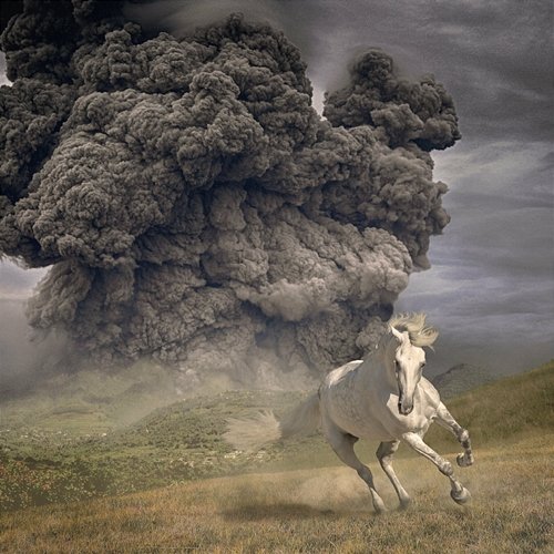 Year Of The Dark Horse The White Buffalo